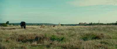 Maybe, but he decides
no longer here. - The Promised Land