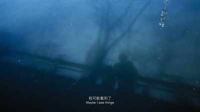 Maybe I saw things - The Shadowless Tower