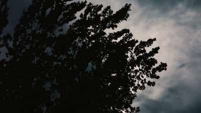 Maybe I thought I could help
because they thought - The Cleveland Kidnappings