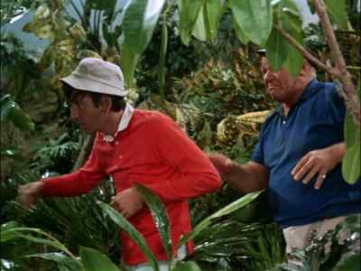 MAYBE I'D BETTER - Gilligan's Island