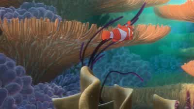 Maybe while I'm at school I'll see a sharkI highly doubt that Have you ever met a sharkNo and I don't plan toHow old are sea turtles I don't knowSandy Plankton from next doorhe says that sea turtles live to be about 100 years oldIf I ever meet a sea - Finding Nemo