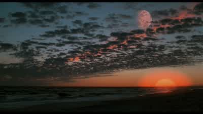 Maybe I'm being set up for something. - The Truman Show