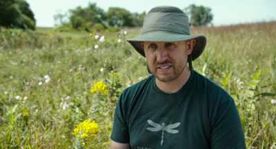 Maybe it's fertilizers,
maybe it's GM plants, - The Pollinators