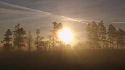 Maybe it's harder to see the harm
when it's caused by good intentions. - Unrest