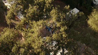 Maybe it's not a hoax. - 9-1-1: Lone Star