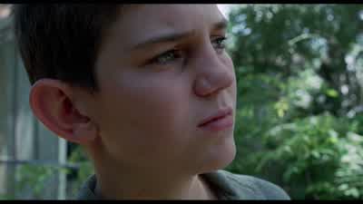 Maybe I've been tough on you. - The Tree of Life
