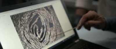 Maybe, just maybe, it's a complete one? - Unknown: The Lost Pyramid