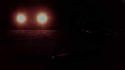 MAYBE SHE WAS THE ONE
BLOCKING THE ROAD THAT NIGHT. - Bloodlands