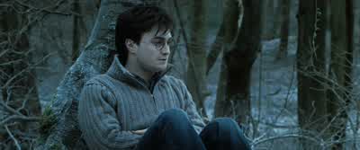 Maybe we should just stay here, Harry. - Harry Potter and the Deathly Hallows: Part 1