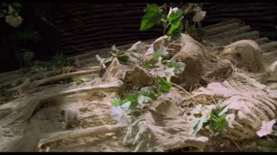 Maybe we should put them under the dirt. - Waterworld