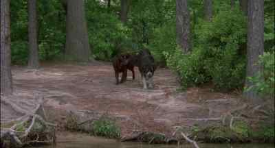 Maybe we should
stop here for a minute.
They'll never find us here. - Fluke