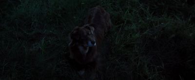 Maybe someday I'll go back snapping at fireflies too - The Young and Prodigious T.S. Spivet