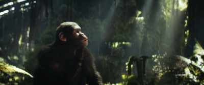 Maybe even taught. [laughs] - Kingdom of the Planet of the Apes