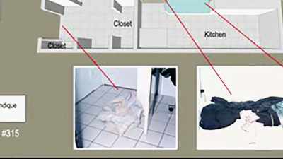 MAYBE THAT BLANKET WAS
IN THE DRYER - Chandra Levy: An American Murder Mystery