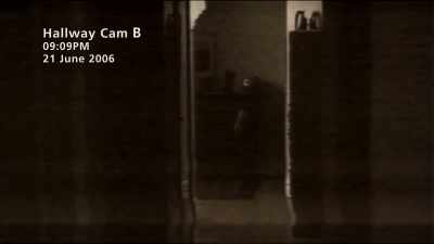 Maybe that's a difference
between the more constructed - The Found Footage Phenomenon