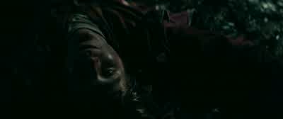 Maybe that's just something the brain invents to surviveYeah Like maybe your brain invented meto distract you from the factthat eventually your eyes are gonna stop blinkingand your mouth will stop chewingand your blood'll stop pumpingand then you're gonna - Swiss Army Man