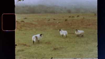 Maybe that's one reason
why in the late '60s, - Woodlands Dark and Days Bewitched: A History of Folk Horror