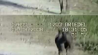MAYBE THE CAMERA CAPTURED SOMETHING - Strange Evidence