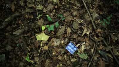 Maybe the killer used something
that he found inside the house. - Murder In A Small Town