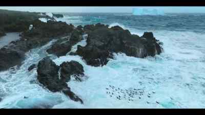 Maybe the solution is not
to fight the ocean, - Our Oceans