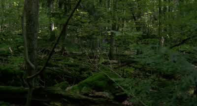 Maybe we shouldn't have left Francine and Evan. - Wrong Turn