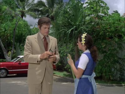 McGarrett, Hawaii Five-0. - Hawaii Five-O