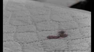 [ McNally ]
Conclusive? - Clean, Shaven