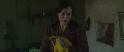 Me books wouldn't fit. - The Banshees of Inisherin
