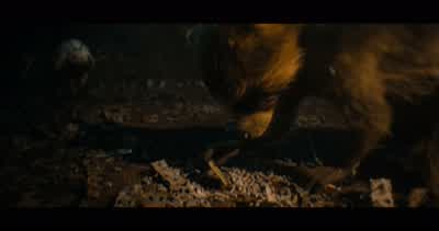 Me Rocket play nowI can't right now FloorWhat are you doingThey ain't gonna set us freeYes they are RocketWe're going to the new world any day nowNo that can't be trueIt isThey wanna kill us all in the morningWhatWhatBut I'm gonna fix itWhat is thatIt's a - Guardians of the Galaxy Vol. 3