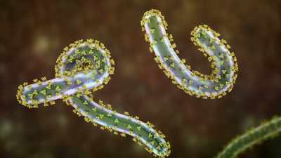 Meaning that it is
such a dangerous virus - The UnBelievable with Dan Aykroyd