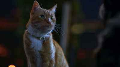 Meanwhile, a
deranged villain is trying - Cats & Dogs 3: Paws Unite