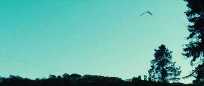 Meanwhile, around Point
Pleasant and West Virginia, - The Mothman Legacy