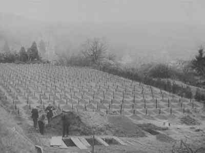 Meanwhile, at the graveyard
attached to the institution, - Nazi Concentration Camps