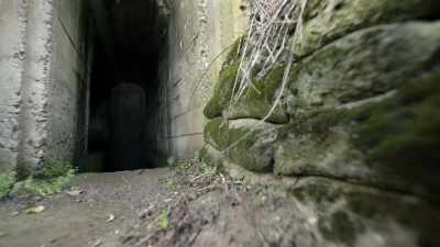 Meanwhile, the nearby
maisy batteries - Secret Nazi Ruins