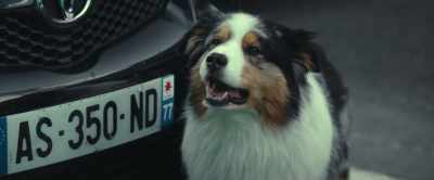 - (Medic 1 groans)
- (Albert barking) - The Animal Kingdom