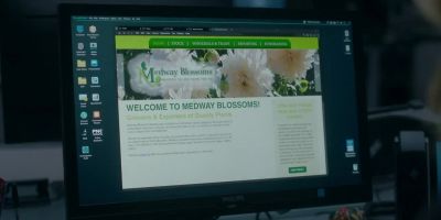 Medway Blossoms... - Silent Witness