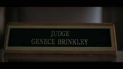 - Meek's lawyers make a
campaign against Brinkley - Free Meek