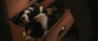 Meet Brutus, Knirps, Ronja,
Oskar, Lotte and U... - Hui Buh and the Witch's Castle