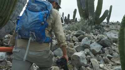 Meeting them here
is desert scientist Ben Wilder. - The Green Planet