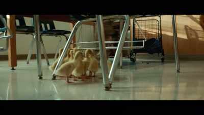 [Megan] Come here, ducky.
Here, ducky, ducky. - The Slumber Party