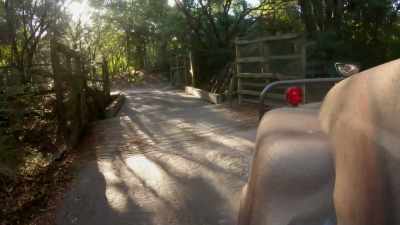 MEGHAN: Now that the test trucks
have gone through the ride path... - Magic of Disney's Animal Kingdom
