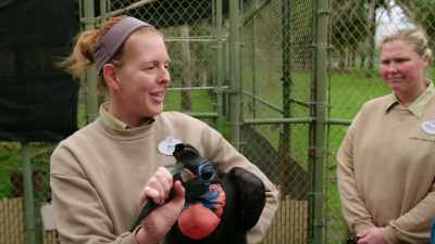 MEL: The quality...
He's back to being shiny - Magic of Disney's Animal Kingdom
