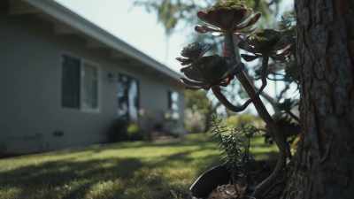 [melancholy music] - Confronting a Serial Killer