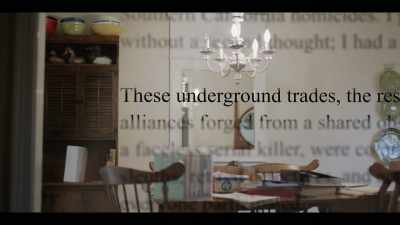 MELANIE: - I'll Be Gone in the Dark