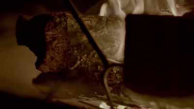 [Melanie] We don't know exactly
when hominins started using fire. - Human: The World Within