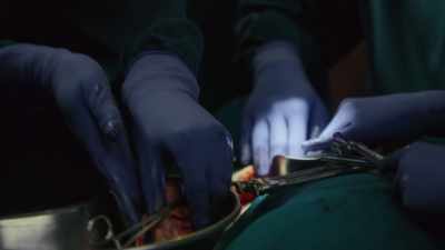 Melendez:
[ Exhales sharply ] - The Good Doctor