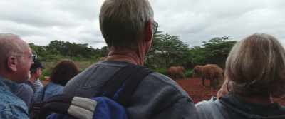 (Melissa): Do your research,
make informed decisions, - The Last Tourist