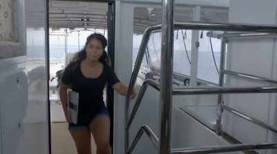 Melissa re-visits Elyse's
attack, and notices a clue. - Shark Attack Files