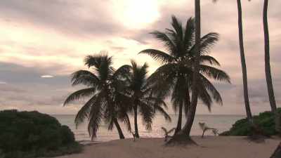 (mellow music)
♪ - Island of Bryan