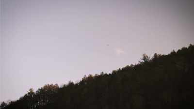 [mellow piano music] - Secrets of the Sasquatch